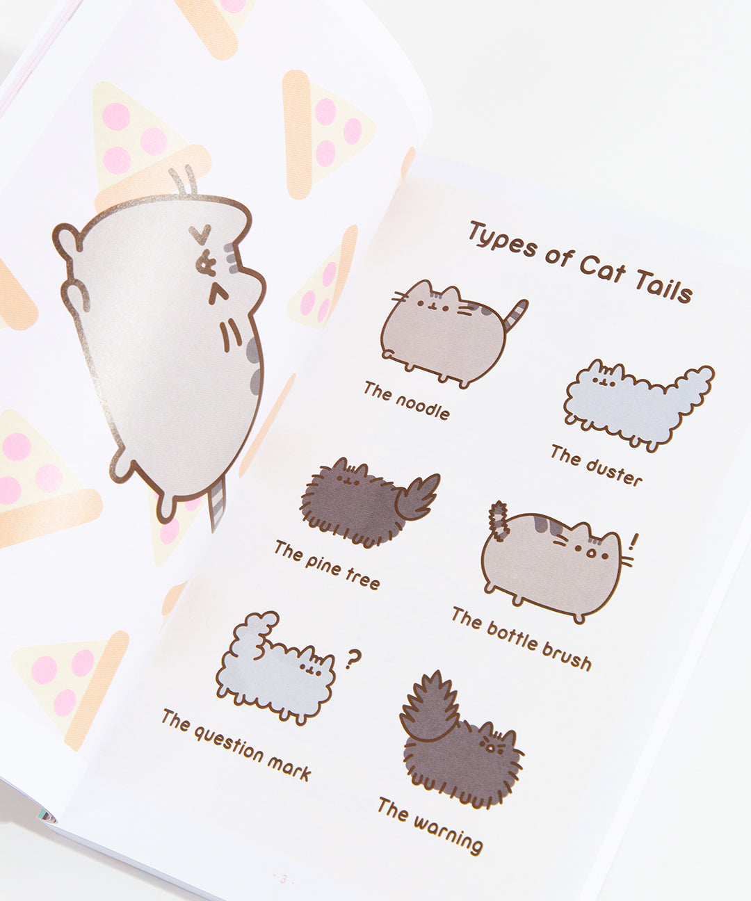 The Many Lives of Pusheen the Cat